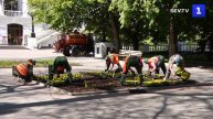 Летние клумбы: Приморский бульвар украсили бархатцы и бегонии