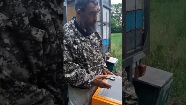 Пчеловод о СЭНТО