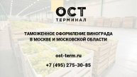 Растаможка винограда