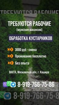 Вахта в Московской области