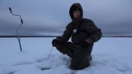 ЛОМАЮТСЯ УДОЧКИ и ТРЕЩАТ ЛЕСКИ! Окунь размером с Щуку! Рыбалка по первому льду 2022-23.