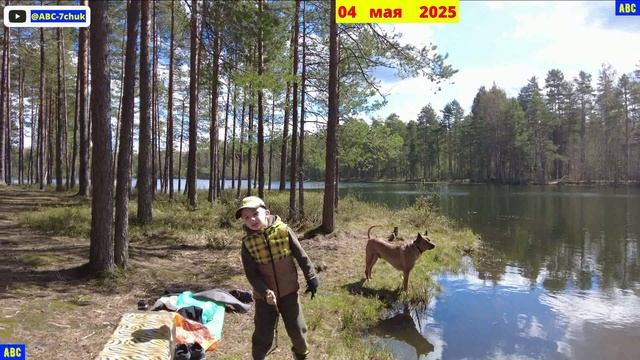 Только плавание 04.05.25 #мироша #юныйпрадедбодрыйдед