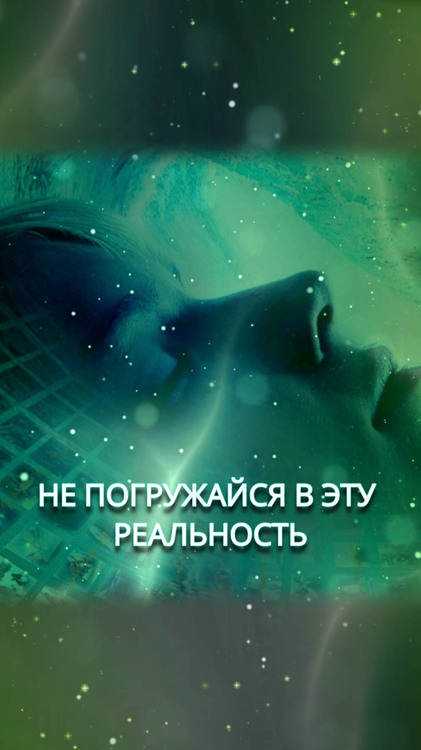 Не погружайся с головой в эту реальность