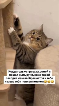 УПС...