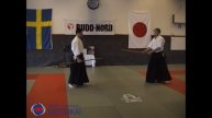 3 Aikido Jo Tai Ken Yokomenuchi Gokyo Sundsvall 2004