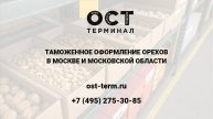 Растаможка орехов