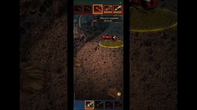 5.05.25 Ant Legion