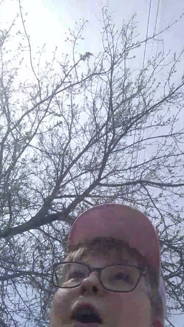VID_20250505_151444_4.mp4