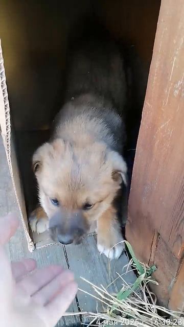 TimeVideo_20250504_163013.mp4