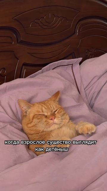 Приколы #приколы