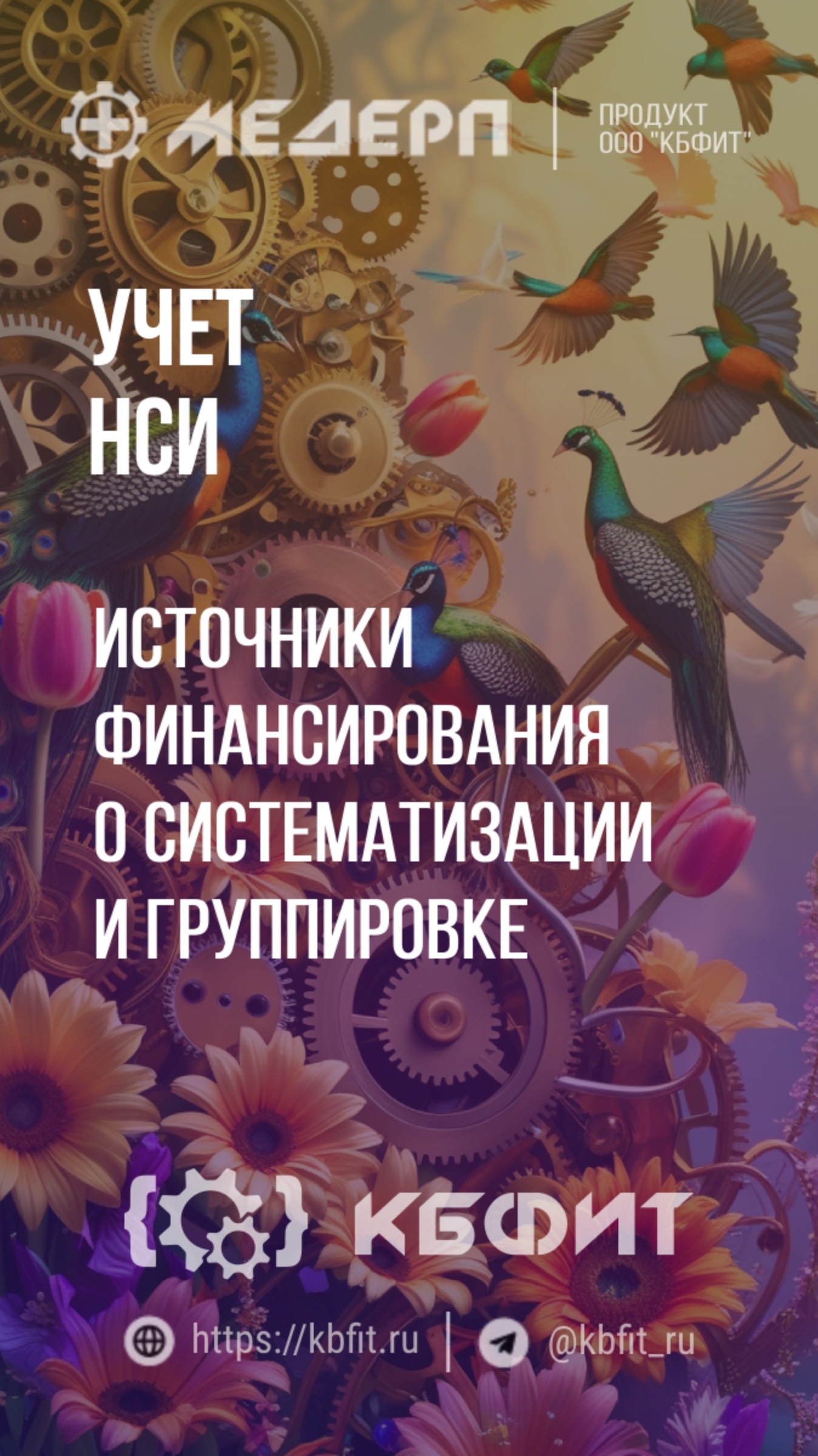 КБФИТ: МЕДЕРП. Учет НСИ: Источники финансирования о систематизации и группировке. Ч.1.