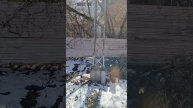 Едем в электричке и ВИДЫ ЗА ОКНОМ😁❤️Таисия, папа. мама в эфире ❤️