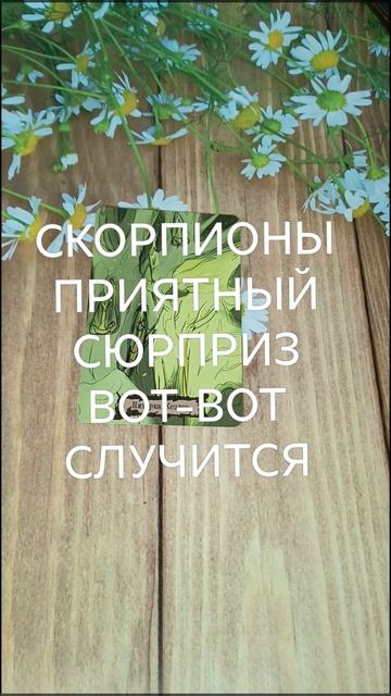 #СКОРПИОНЫ ПРИЯТНЫЙ СЮРПРИЗ ВОТ-ВОТ НА ПОРОГЕ💕😍💖#ГаданиеНаБудущее #ТароГадание