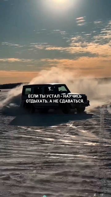 Сдаются только квартиры 💯😂