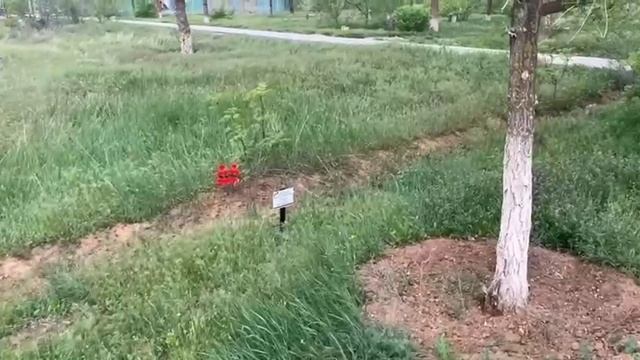 TsaganAman. Буддистский хурул.