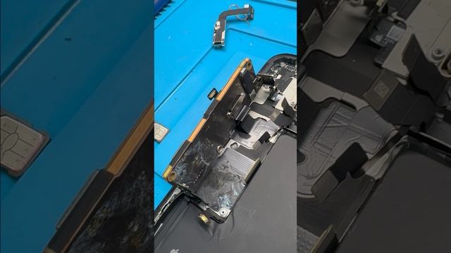 iPhone 12 рro мax после попадания воды. Сервисный центр Advice