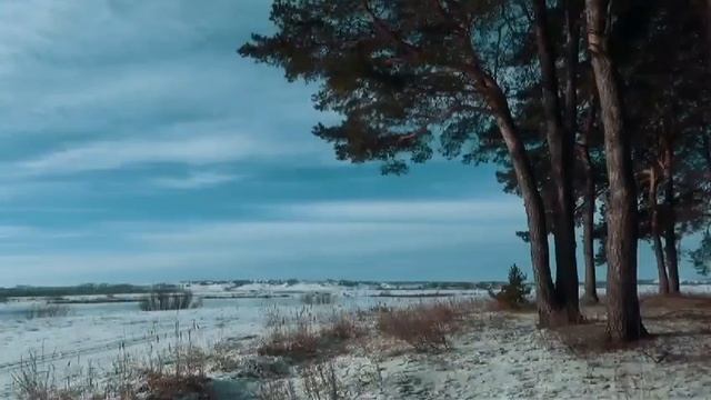 VID-20241111-WA0000.mp4