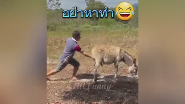 Самое смешное с Тик Тока