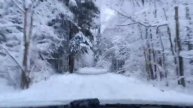 дорога в КМ (Лосиный остров)