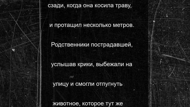 Леопард растерзал косившую траву девушку в Индии