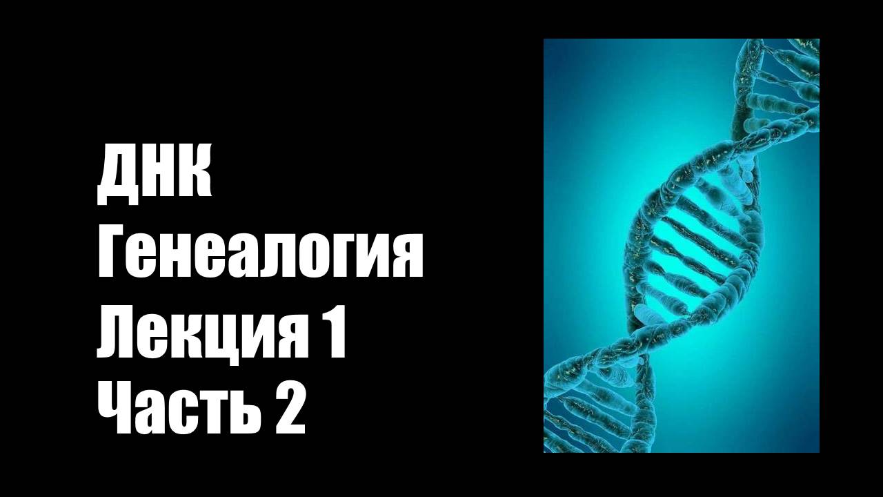 ДНК Генеалогия: Лекция 1.Часть 2 - Поиск родственников, В криминалистике, Мужская ДНК, Маршруты ДНК