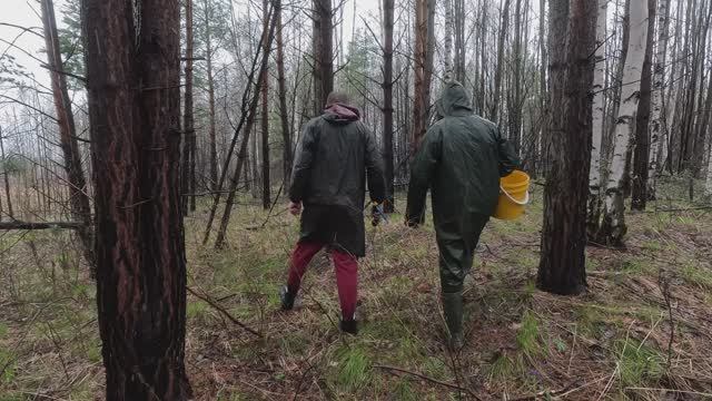 В МАЕ ЗА ГРИБАМИ