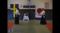 33 Aikido Ken Tai Ken Yokomen Uchi Ikkyo Shishiya Sensei 2003