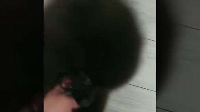 наш выпускник ♥️ маленький хулиган 😁