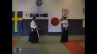 30 Aikido Jo Tai Ken Yokomen Uchi Ikkyo, Shishiya Sensei 2003
