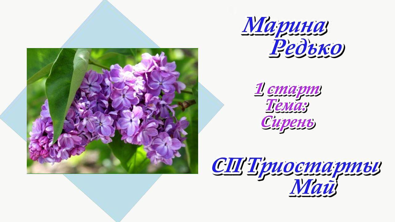 СП "Триостарты" Май / 1 старт