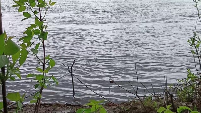 #Погода в принципе хорошая