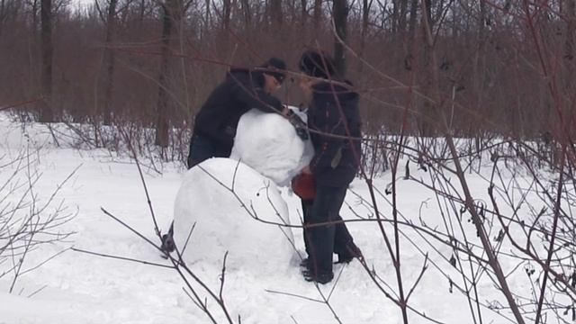 Зимняя прогулка