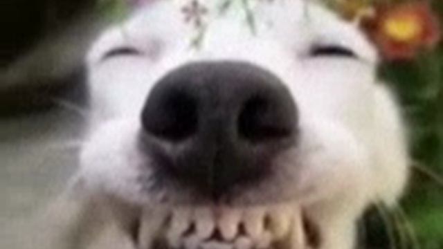 1000006277.mp4