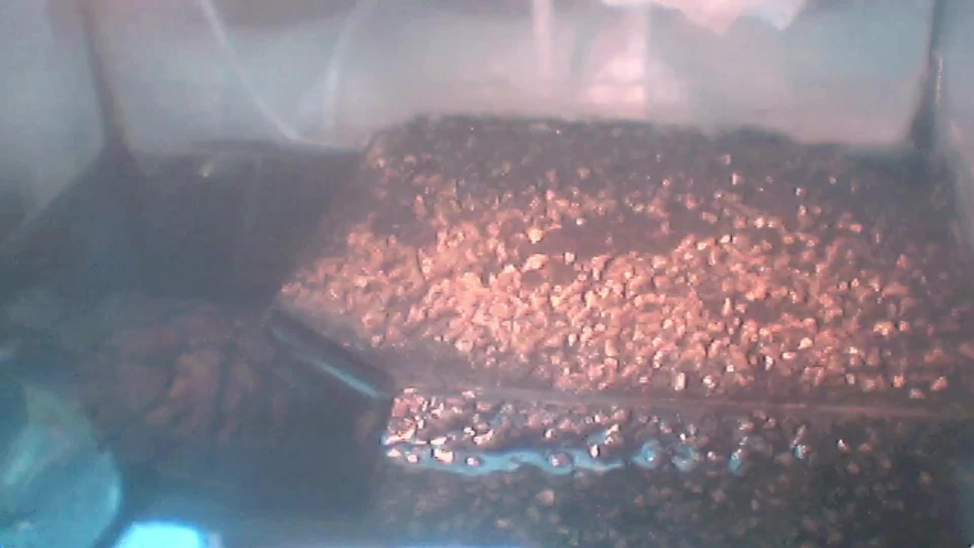 Красноухие черепахи 05.05.2025 день