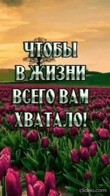 ДОБРОЕ МАЙСКОЕ УТРО. Shorts.