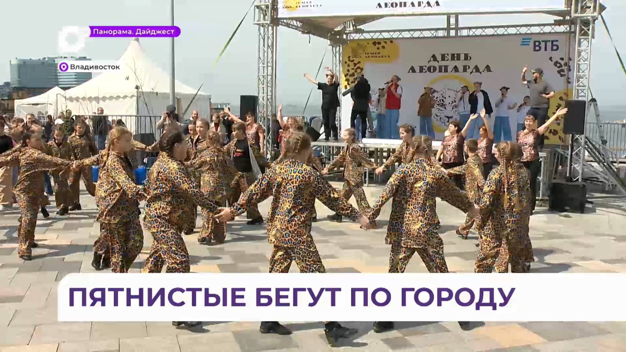 Шестой фестиваль «День Леопарда» с размахом прошёл во Владивостоке
