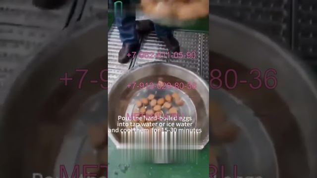 Линия варки и очистки яиц SAZ-14
