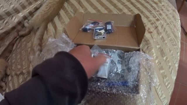 ПОБЫВАЛ НА РЫБАЛКЕ!!ПОСЫЛКИ ОТПРАВЛЯЮ,ПОСЫЛКИ ПОЛУЧАЮ!!У НАС ПОПОЛНЕНИЕ!!ДВА РЫЖИКА НА ПМЖ!!