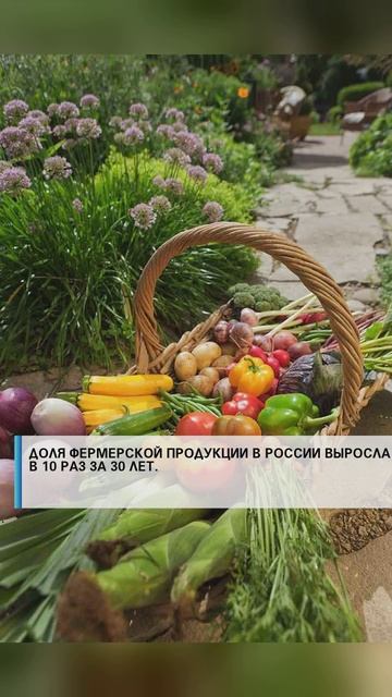 #армияроссии #сво2025#россия2025 #россиявперёд #подвиг #героисво #выборы #путин #дети #семья