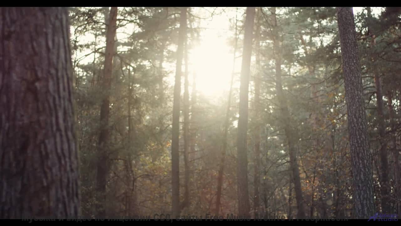 Поля разгораются красками вместе с мелодией - Waking with You -- Crowander -- Uplifting Funband (pop