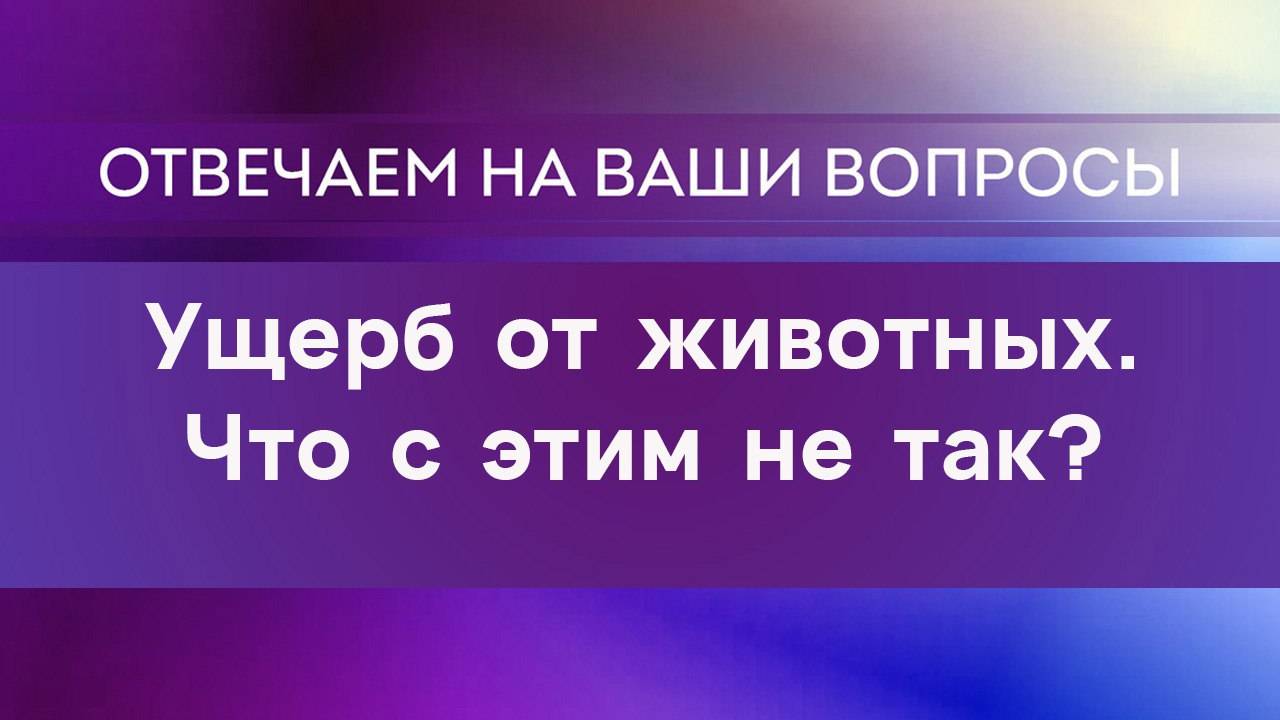 Ущерб от животных