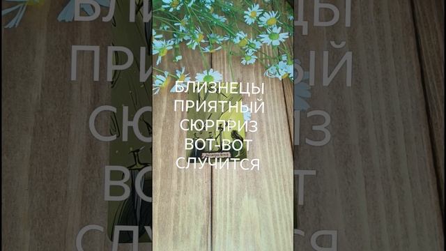 #БЛИЗНЕЦЫ ПРИЯТНЫЙ СЮРПРИЗ ВОТ-ВОТ НА ПОРОГЕ😍💖💕#ГаданиеНаБудущее #ТароГадание