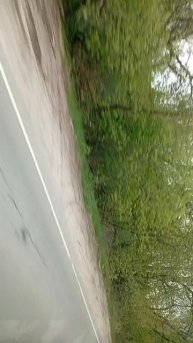 scene_output.mp4