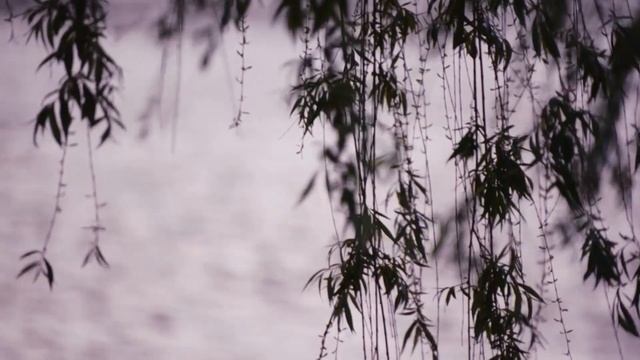 "Иллюзион+": "Нью Йорк, я люблю тебя"