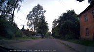 Кошка умнее большинства пешеходов.