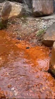 Влюбляю в Кавказ