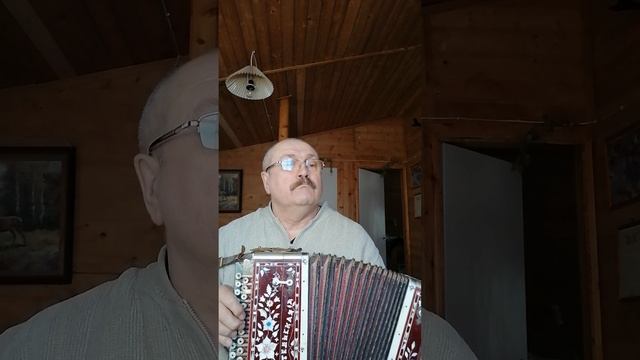 Евгений Дворников, гармонь
