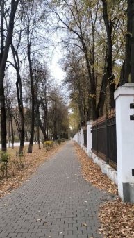 Парк осенью