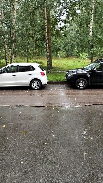Дождь
