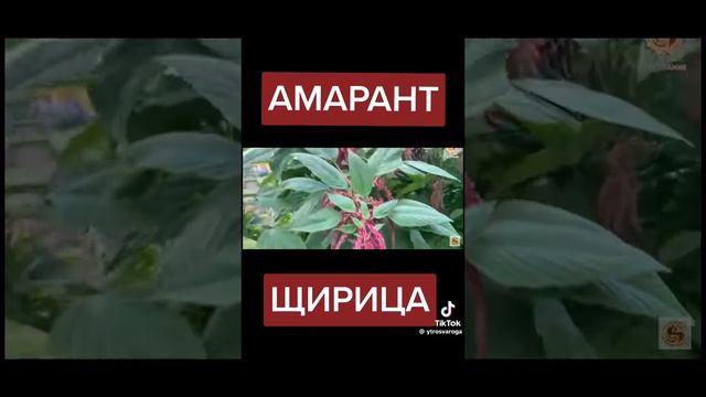 1000017441.mp4